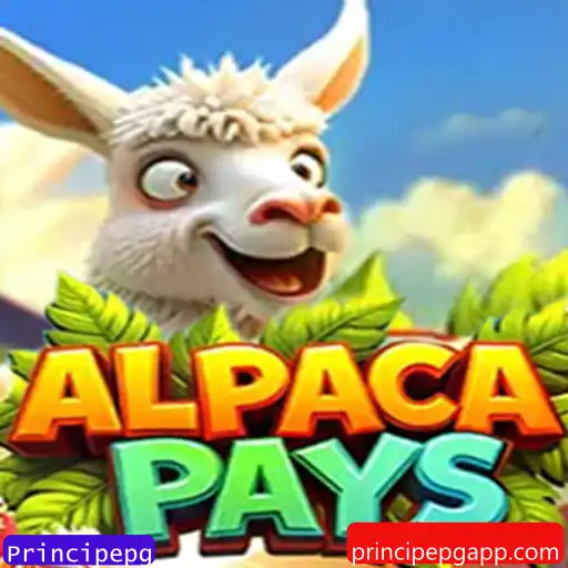 Descubra Tudo Sobre o Jogo AlpacaPays e Suas Regras Fascinantes